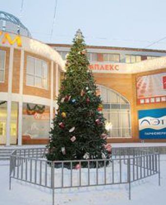 Ель высотная МОСКВА 4,5,6 м